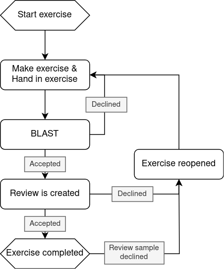 Exercise flow diagram
